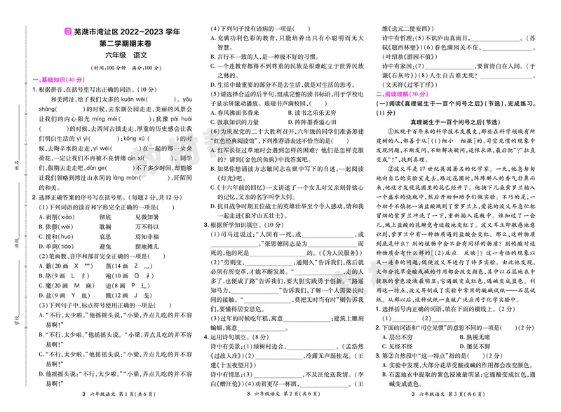 《24版语文RJ六下期末真题卷-安徽_小学语文精品试卷合集（1-6年级下册）_《期末真题卷》》第5页预览