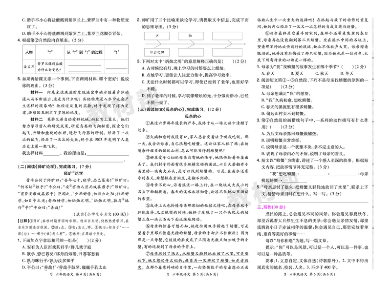 《24版语文RJ六下期末真题卷-安徽_小学语文精品试卷合集（1-6年级下册）_《期末真题卷》》第6页预览
