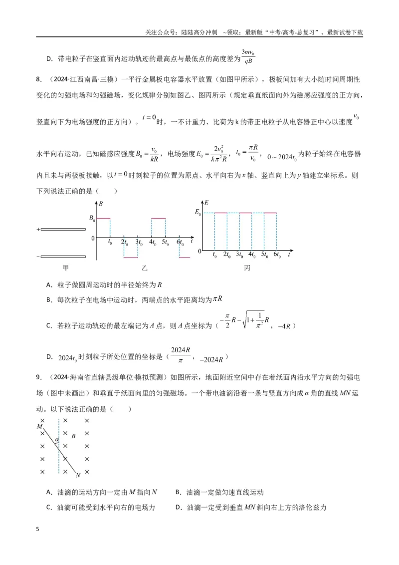 《专题突破卷12带电粒子在组合场、复合场、叠加场、交变电磁场中的运动（学生版）_04-物理-高考总复习_一轮复习_2025年_2025年高考物理一轮复习考点复习卷（新高考通用）》第5页预览