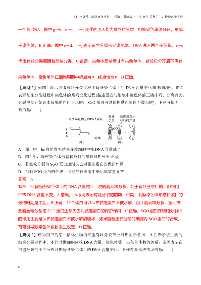 《专题二有丝分裂与减数分裂重难集训（解析版）_06-生物-高考总复习_专项复习_2024年_2024年高考生物考前最后冲刺_资料_1-资料》第5页预览