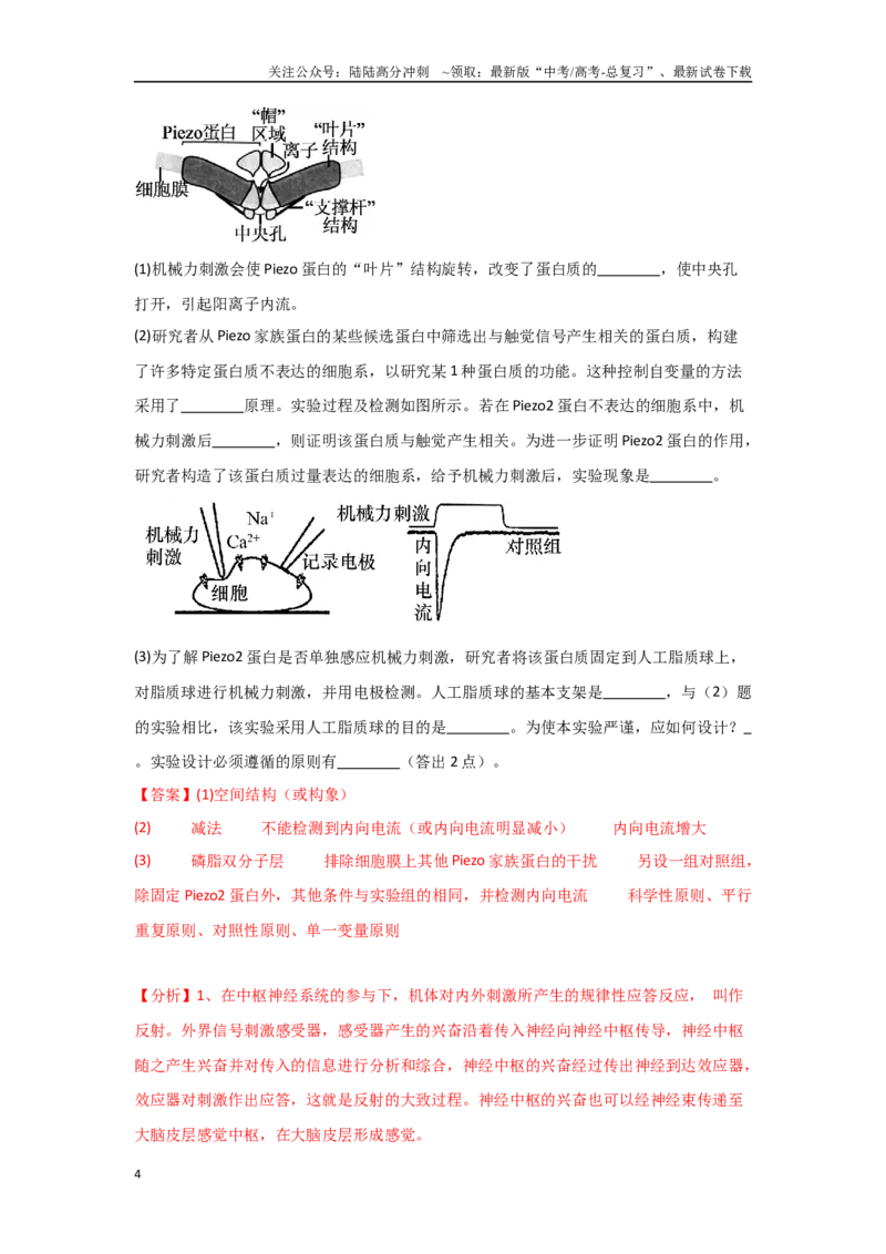 《专题四评价改进类实验能力培养及答题技巧（解析版）_06-生物-高考总复习_专项复习_2024年_2024高考生物实验题型归纳重难点练习提高解题技巧_资料》第4页预览