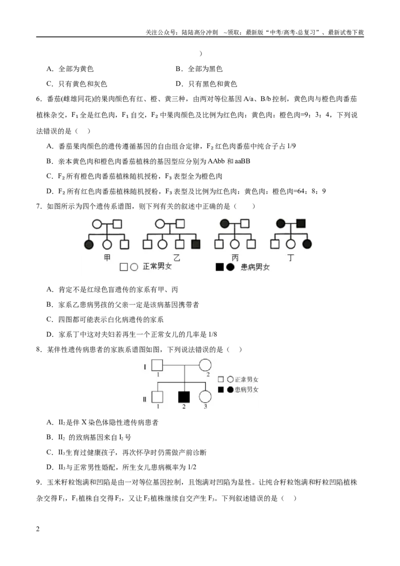 《专题四遗传的基本规律和人类遗传病（测试）（原卷版）_06-生物-高考总复习_二轮复习_2024年_2024年高考生物二轮复习讲练测（新教材新高考）_配套练习》第2页预览