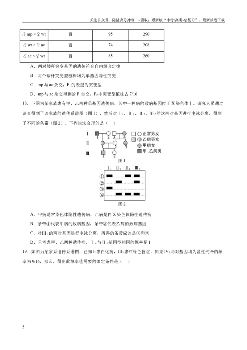 《专题四遗传的基本规律和人类遗传病（测试）（原卷版）_06-生物-高考总复习_二轮复习_2024年_2024年高考生物二轮复习讲练测（新教材新高考）_配套练习》第5页预览