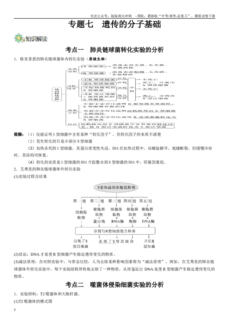 《专题七遗传分子的基础（原卷版）_06-生物-高考总复习_二轮复习_2024年_2024年高考生物二轮复习专题攻略（新教材新高考）_资料》第1页预览