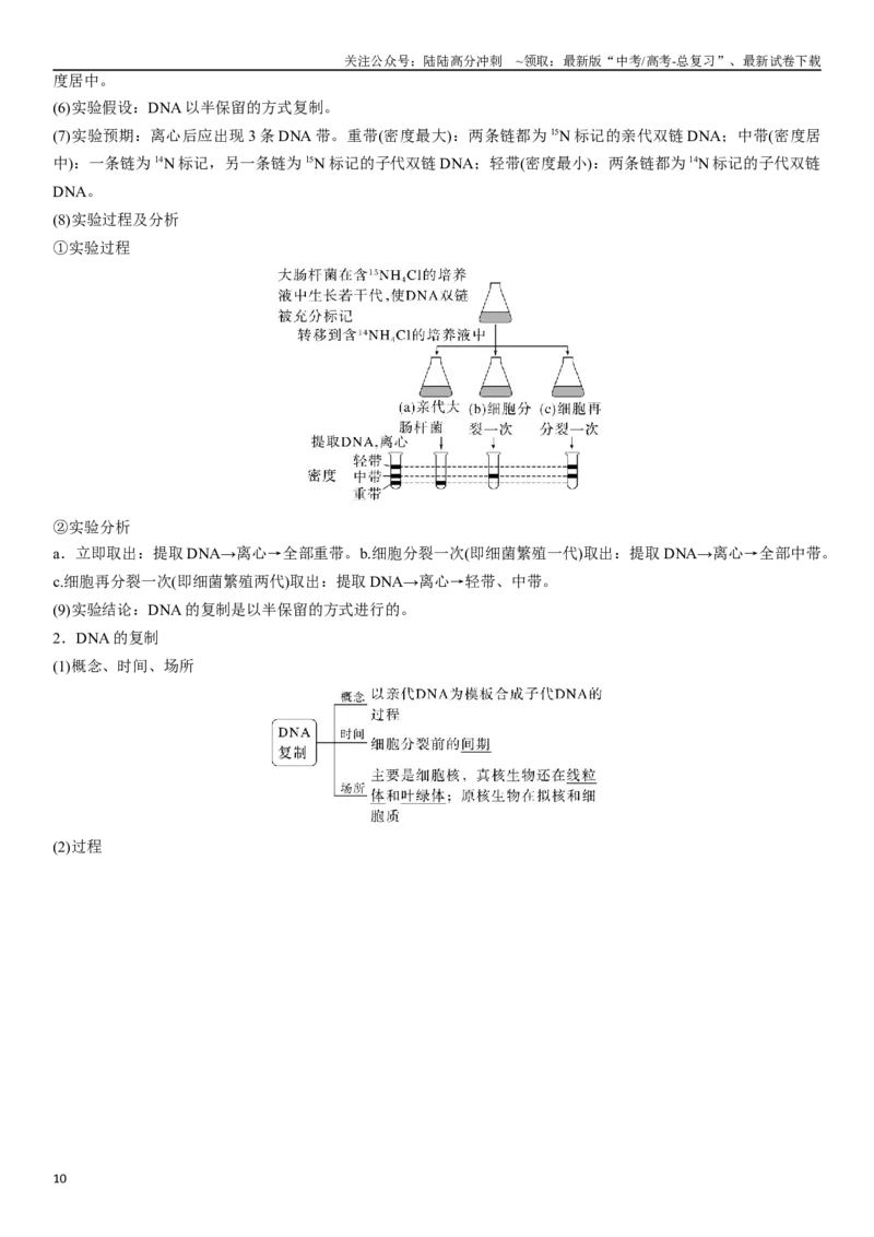 《专题七遗传分子的基础（原卷版）_06-生物-高考总复习_二轮复习_2024年_2024年高考生物二轮复习专题攻略（新教材新高考）_资料》第10页预览