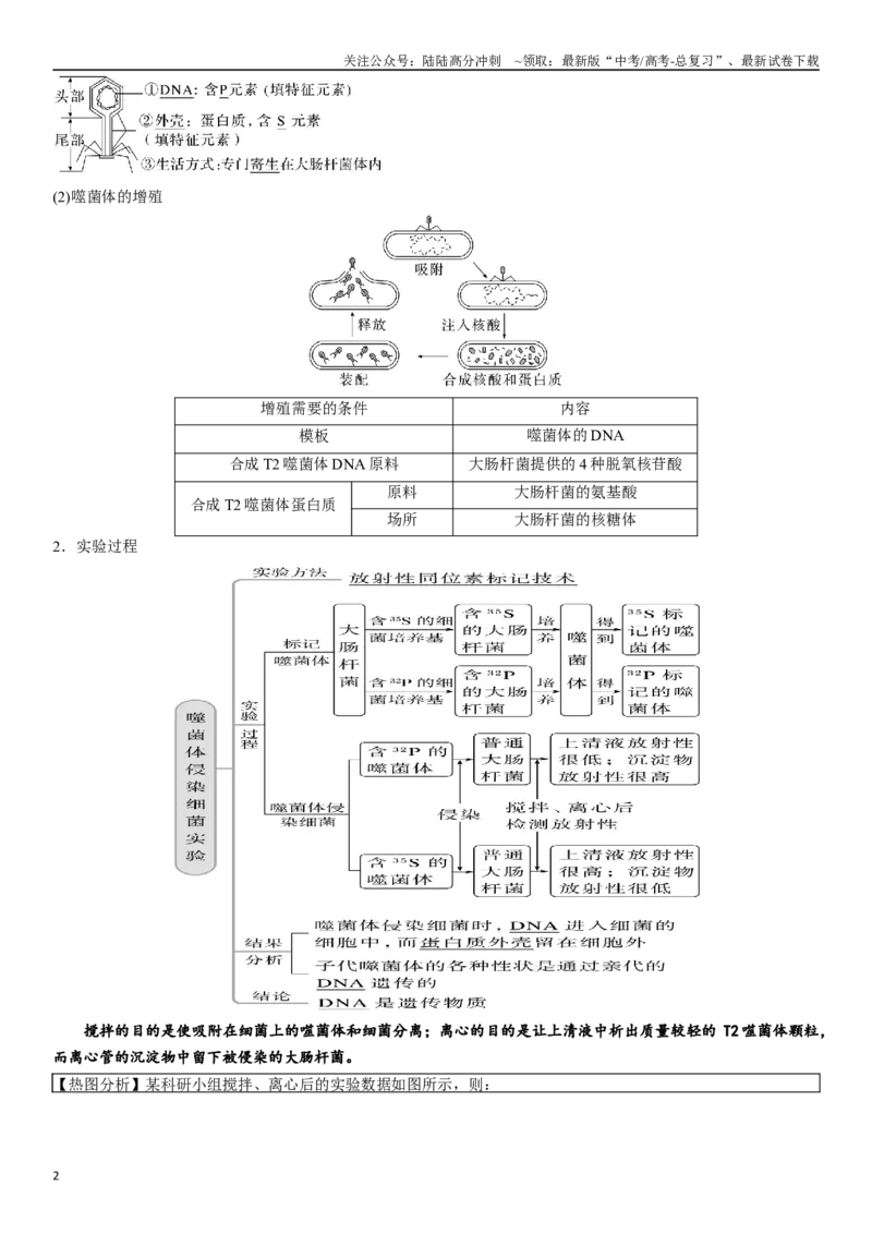 《专题七遗传分子的基础（原卷版）_06-生物-高考总复习_二轮复习_2024年_2024年高考生物二轮复习专题攻略（新教材新高考）_资料》第2页预览
