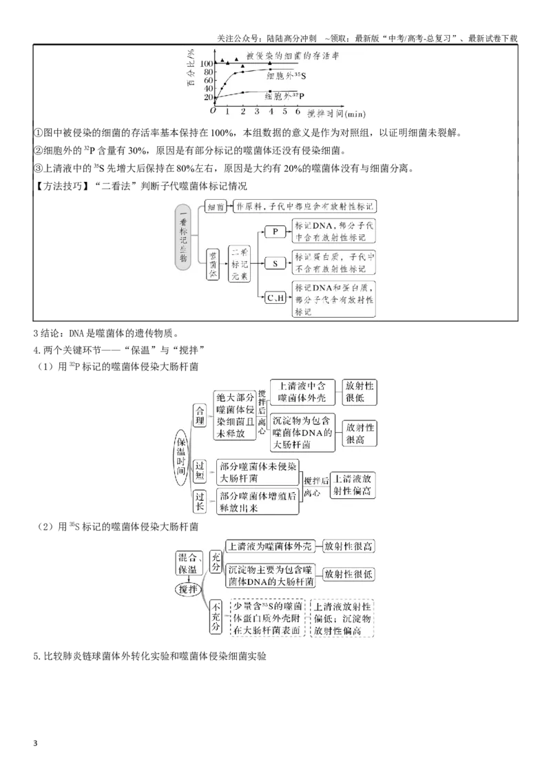 《专题七遗传分子的基础（原卷版）_06-生物-高考总复习_二轮复习_2024年_2024年高考生物二轮复习专题攻略（新教材新高考）_资料》第3页预览