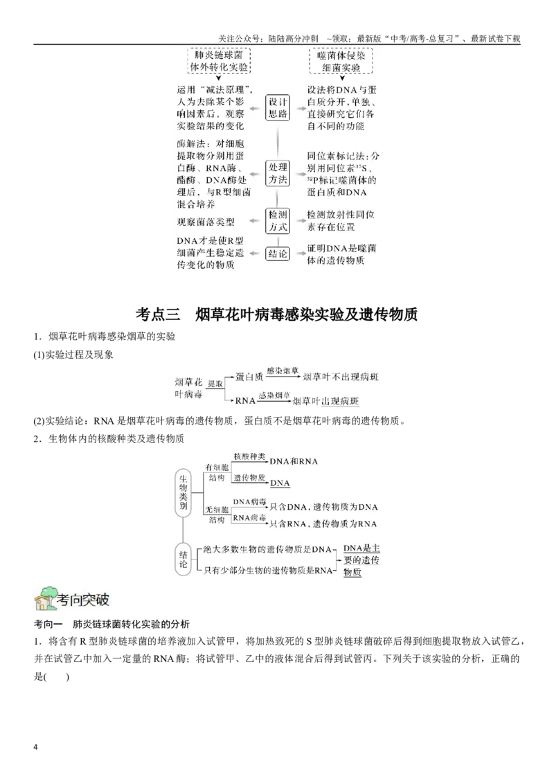 《专题七遗传分子的基础（原卷版）_06-生物-高考总复习_二轮复习_2024年_2024年高考生物二轮复习专题攻略（新教材新高考）_资料》第4页预览