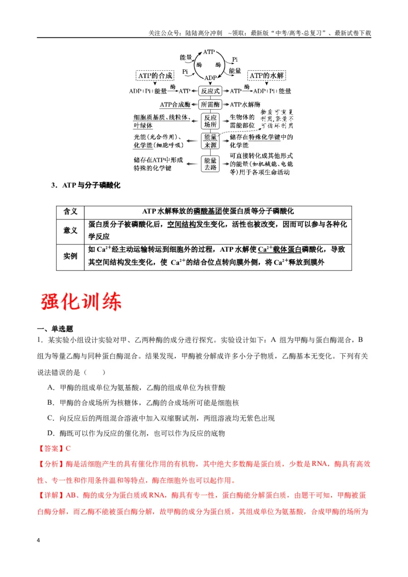 《专题8酶和ATP（解析版)_06-生物-高考总复习_一轮复习_2024年_2024年高考生物一轮复习重难点专项突破_资料》第4页预览