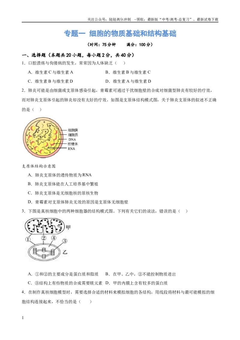 《专题一细胞的物质基础和结构基础（测试）（原卷版）_06-生物-高考总复习_二轮复习_2024年_2024年高考生物二轮复习讲练测（新教材新高考）_配套练习》第1页预览