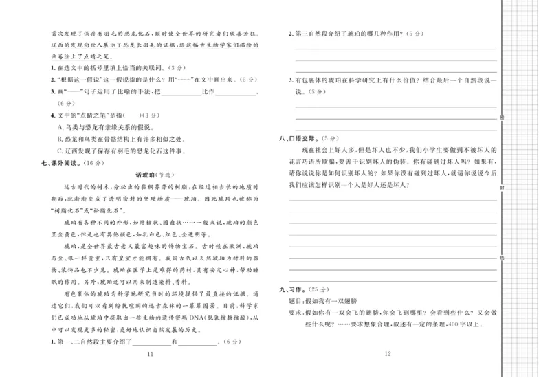 《4.黄冈名师全优AB卷语文4年级下(RJ)_小学语文精品试卷合集（1-6年级下册）_《黄冈全优卷》》第7页预览