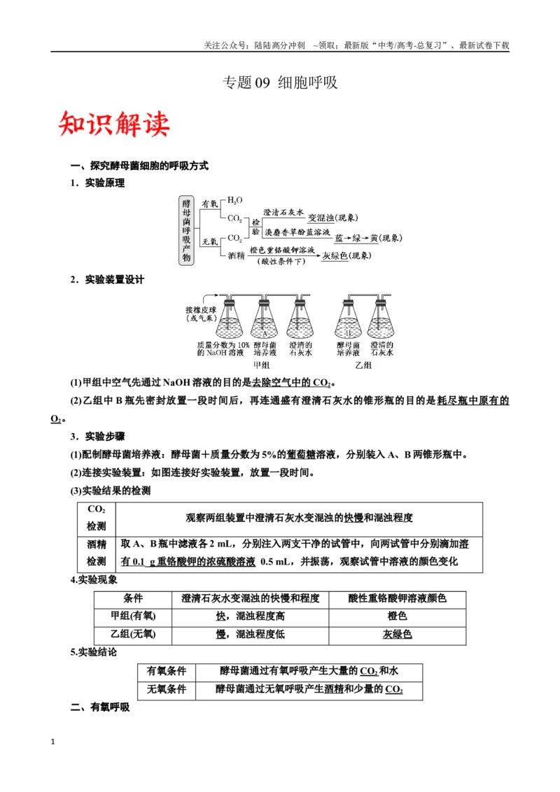 《专题9细胞呼吸（解析版)_06-生物-高考总复习_一轮复习_2024年_2024年高考生物一轮复习重难点专项突破_资料》第1页预览
