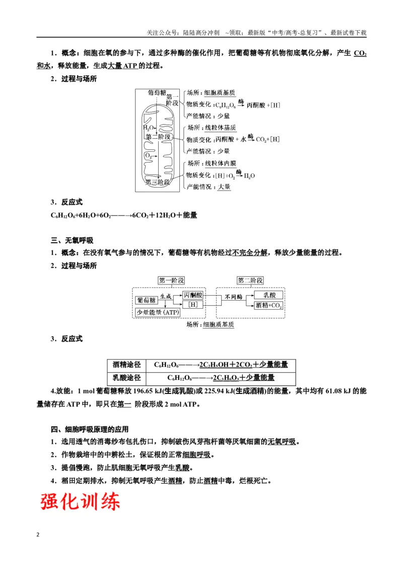 《专题9细胞呼吸（解析版)_06-生物-高考总复习_一轮复习_2024年_2024年高考生物一轮复习重难点专项突破_资料》第2页预览