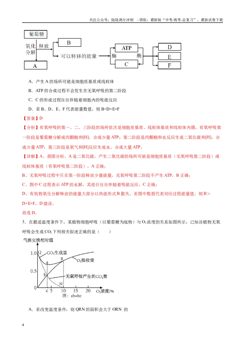 《专题9细胞呼吸（解析版)_06-生物-高考总复习_一轮复习_2024年_2024年高考生物一轮复习重难点专项突破_资料》第4页预览