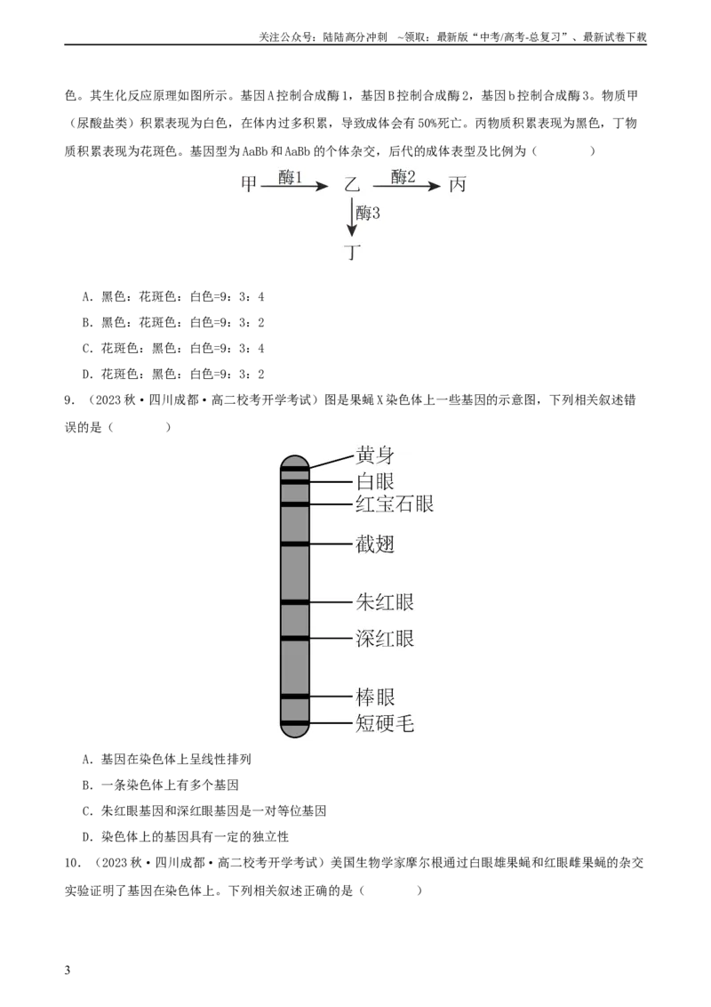 《专题综合练04遗传规律及其应用(原卷版)_06-生物-高考总复习_一轮复习_2024年_2024年高考生物一轮复习考点帮（新高考）_必修2》第3页预览