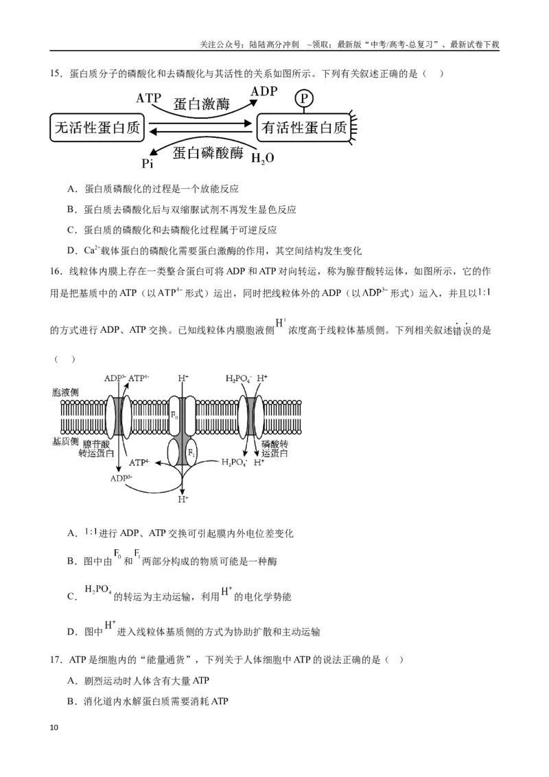 《专题8酶和ATP（原卷版)_06-生物-高考总复习_一轮复习_2024年_2024年高考生物一轮复习重难点专项突破_资料》第10页预览