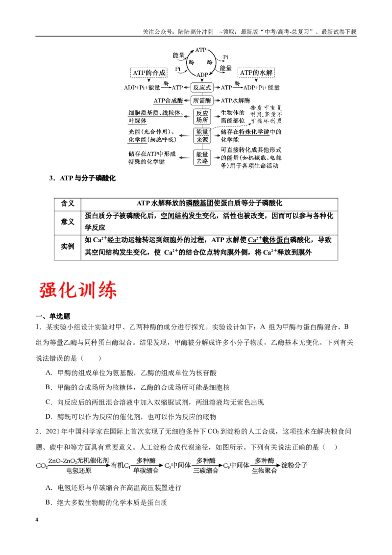《专题8酶和ATP（原卷版)_06-生物-高考总复习_一轮复习_2024年_2024年高考生物一轮复习重难点专项突破_资料》第4页预览