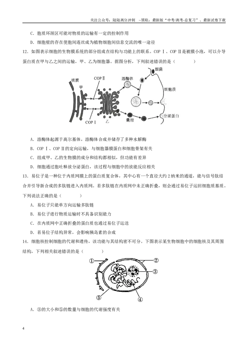 《专题一细胞的物质基础和结构基础（学生版）_06-生物-高考总复习_二轮复习_2025年_2025年高考生物二轮复习课件+讲义+练习（新高考通用）》第4页预览