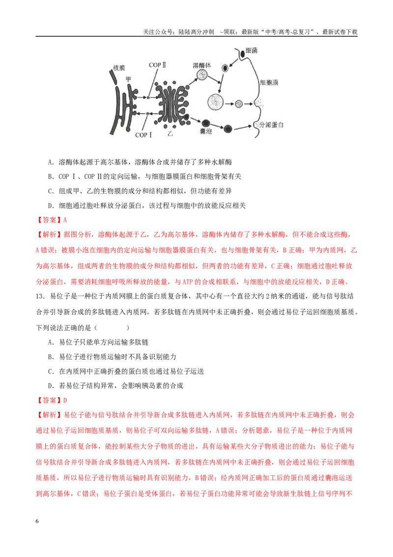 《专题一细胞的物质基础和结构基础（教师版）_06-生物-高考总复习_二轮复习_2025年_2025年高考生物二轮复习课件+讲义+练习（新高考通用）》第6页预览