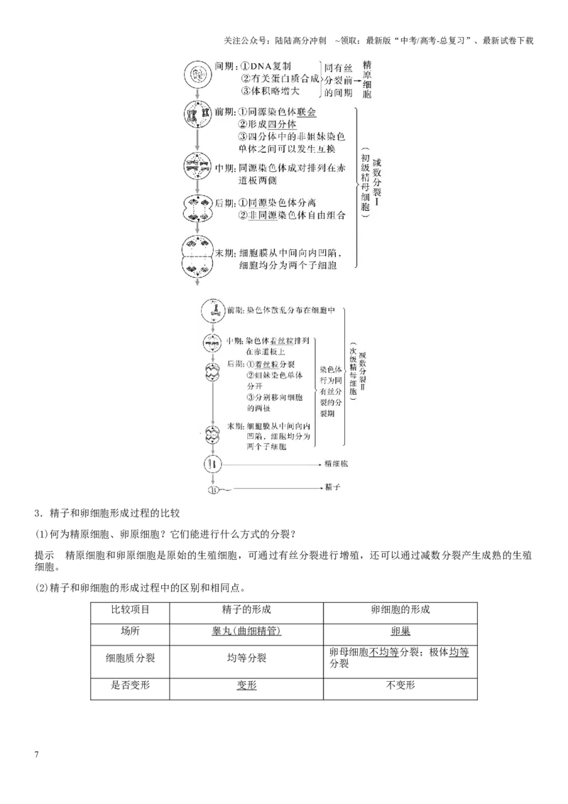 《专题三细胞的增殖、分化、衰老和死亡（解析版）_06-生物-高考总复习_二轮复习_2024年_2024年高考生物二轮复习专题攻略（新教材新高考）_资料》第7页预览