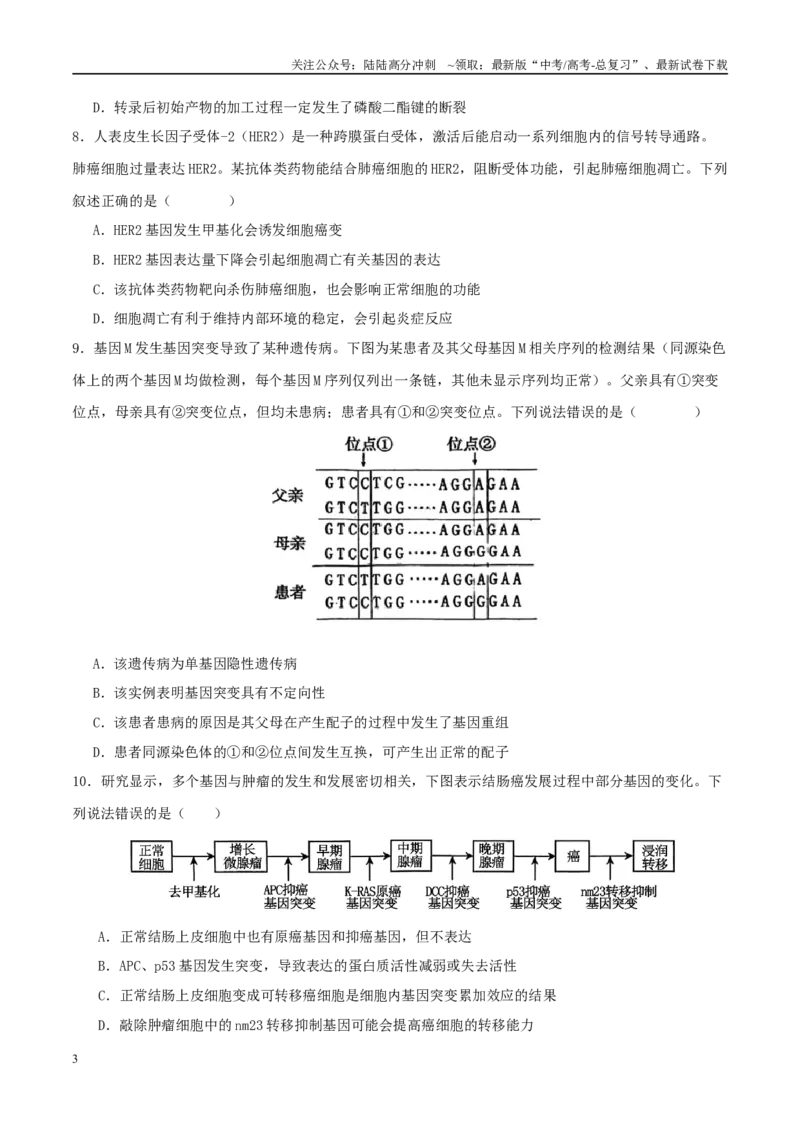 《专题五遗传的分子基础、变异和进化（学生版）_06-生物-高考总复习_二轮复习_2025年_2025年高考生物二轮复习课件+讲义+练习（新高考通用）》第3页预览
