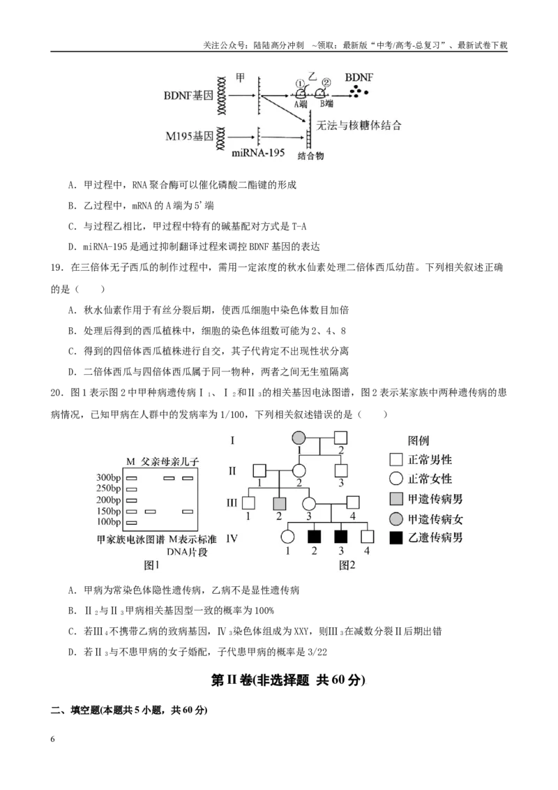 《专题五遗传的分子基础、变异和进化（学生版）_06-生物-高考总复习_二轮复习_2025年_2025年高考生物二轮复习课件+讲义+练习（新高考通用）》第6页预览
