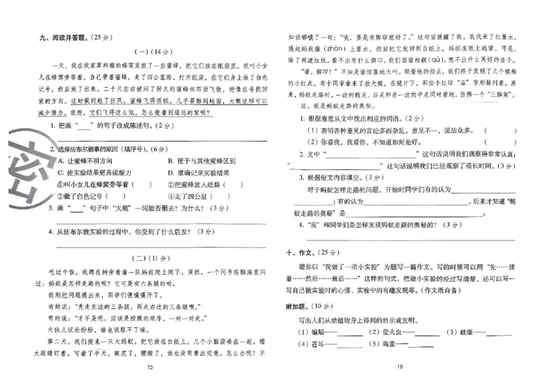 《24春68所期末冲刺100分3下语文_小学语文精品试卷合集（1-6年级下册）_《期末冲刺100分》》第10页预览