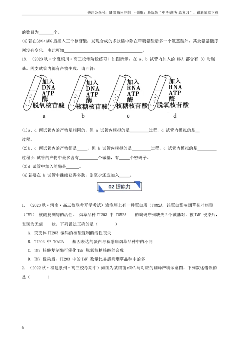 《专题综合练06基因的表达(原卷版)_06-生物-高考总复习_一轮复习_2024年_2024年高考生物一轮复习考点帮（新高考）_必修2》第6页预览