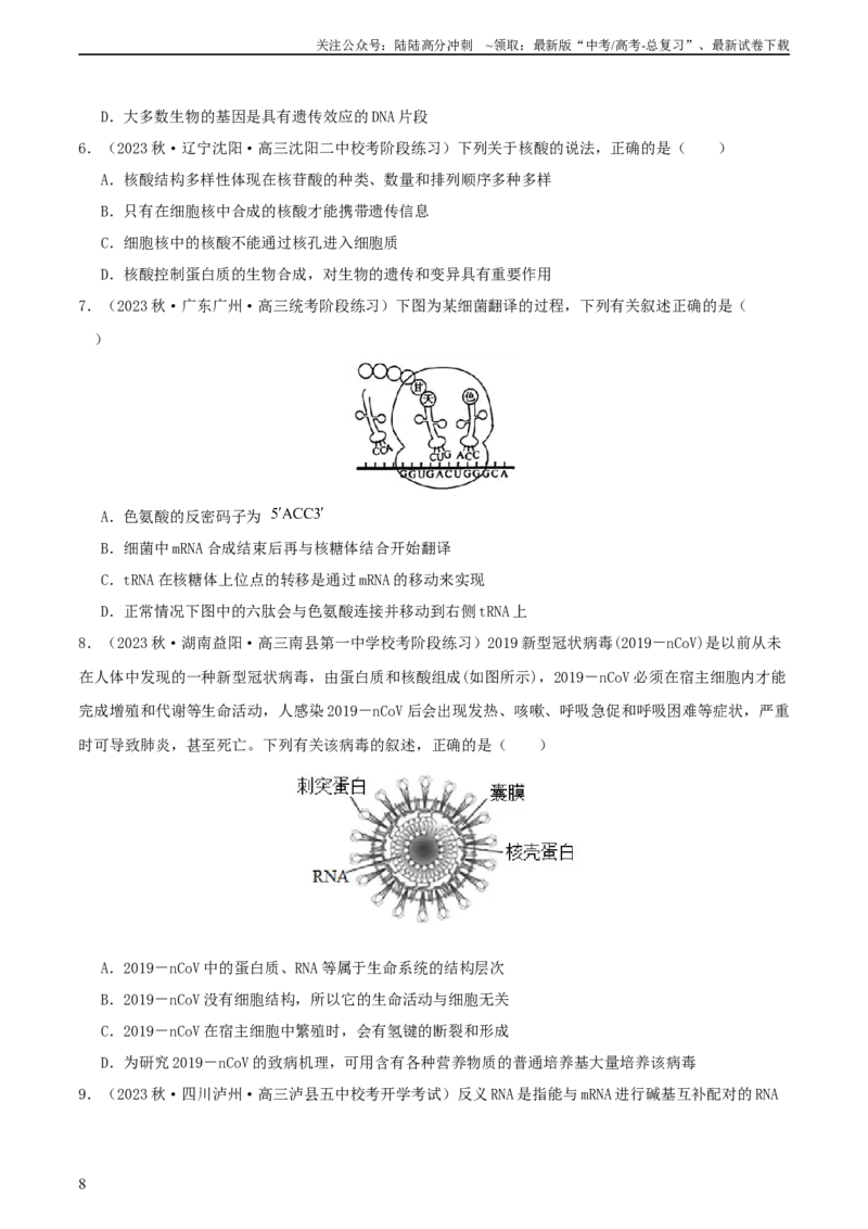 《专题综合练06基因的表达(原卷版)_06-生物-高考总复习_一轮复习_2024年_2024年高考生物一轮复习考点帮（新高考）_必修2》第8页预览