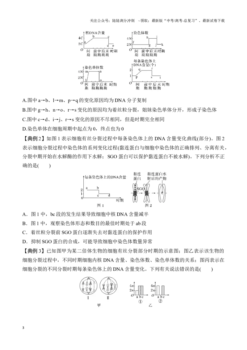 《专题二有丝分裂与减数分裂重难集训（原卷版）_06-生物-高考总复习_专项复习_2024年_2024年高考生物考前最后冲刺_资料_1-资料》第3页预览