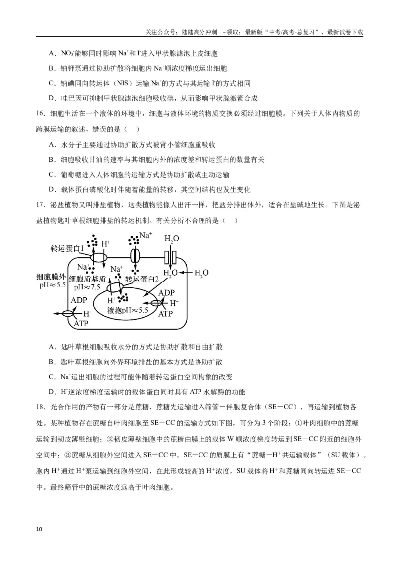 《专题7物质运输（原卷版)_06-生物-高考总复习_一轮复习_2024年_2024年高考生物一轮复习重难点专项突破_资料》第10页预览