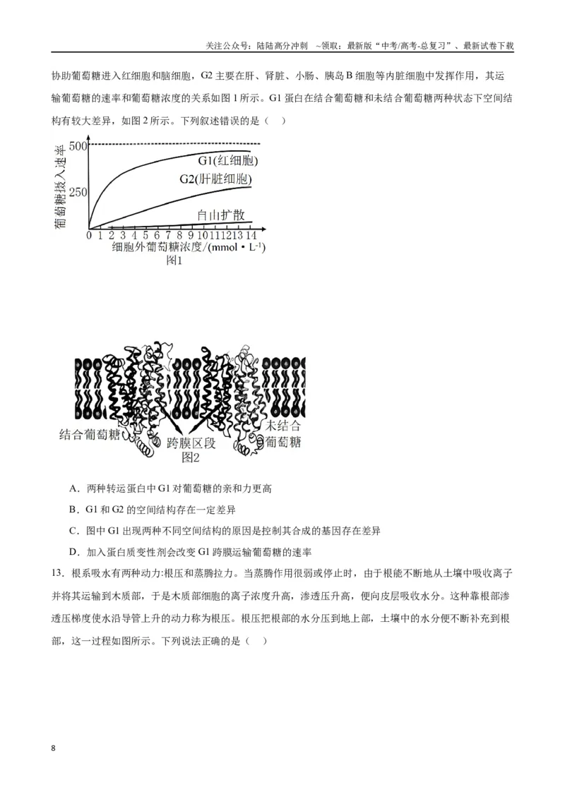 《专题7物质运输（原卷版)_06-生物-高考总复习_一轮复习_2024年_2024年高考生物一轮复习重难点专项突破_资料》第8页预览