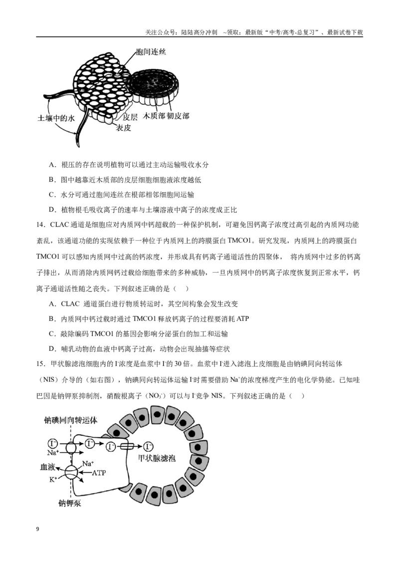《专题7物质运输（原卷版)_06-生物-高考总复习_一轮复习_2024年_2024年高考生物一轮复习重难点专项突破_资料》第9页预览