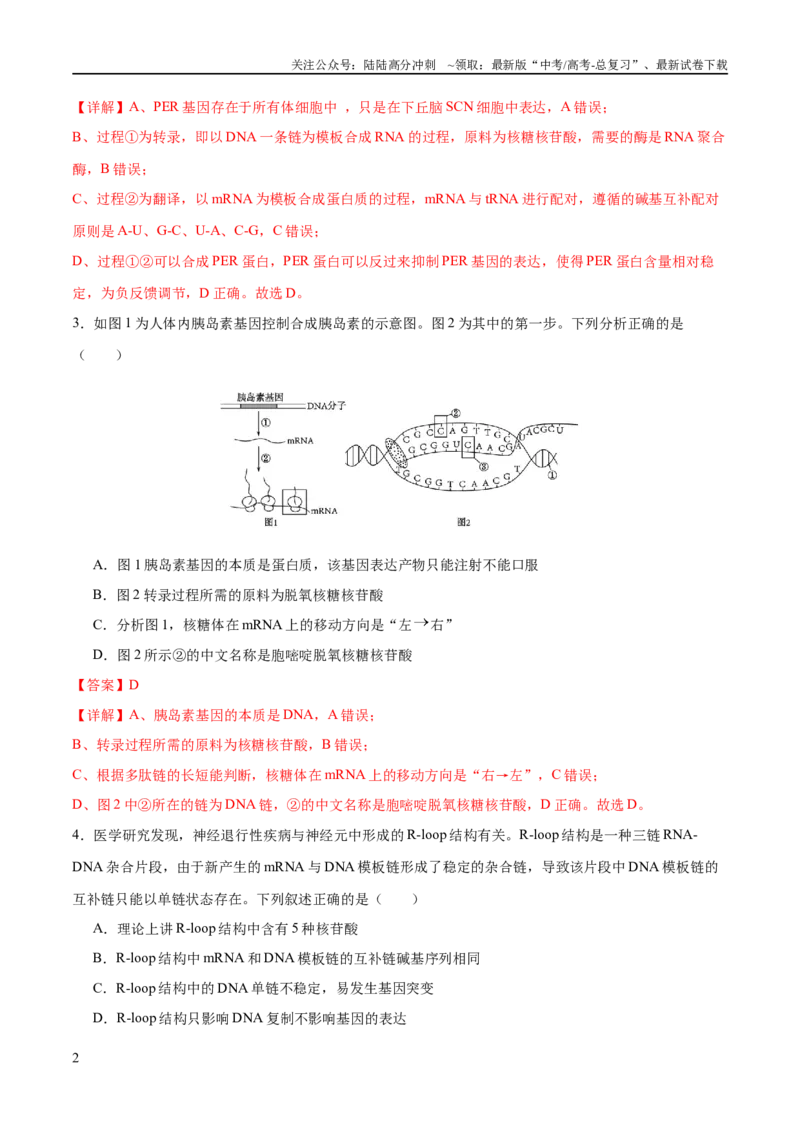 《专题五遗传的分子基础、变异和进化（测试）（解析版）_06-生物-高考总复习_二轮复习_2024年_2024年高考生物二轮复习讲练测（新教材新高考）_配套练习》第2页预览