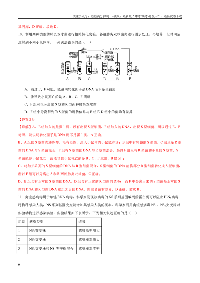 《专题五遗传的分子基础、变异和进化（测试）（解析版）_06-生物-高考总复习_二轮复习_2024年_2024年高考生物二轮复习讲练测（新教材新高考）_配套练习》第6页预览