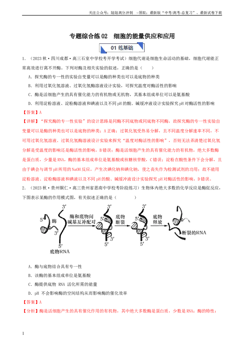 《专题综合练02细胞的能量供应和应用(解析版)_06-生物-高考总复习_一轮复习_2024年_2024年高考生物一轮复习考点帮（新高考）_必修1》第1页预览