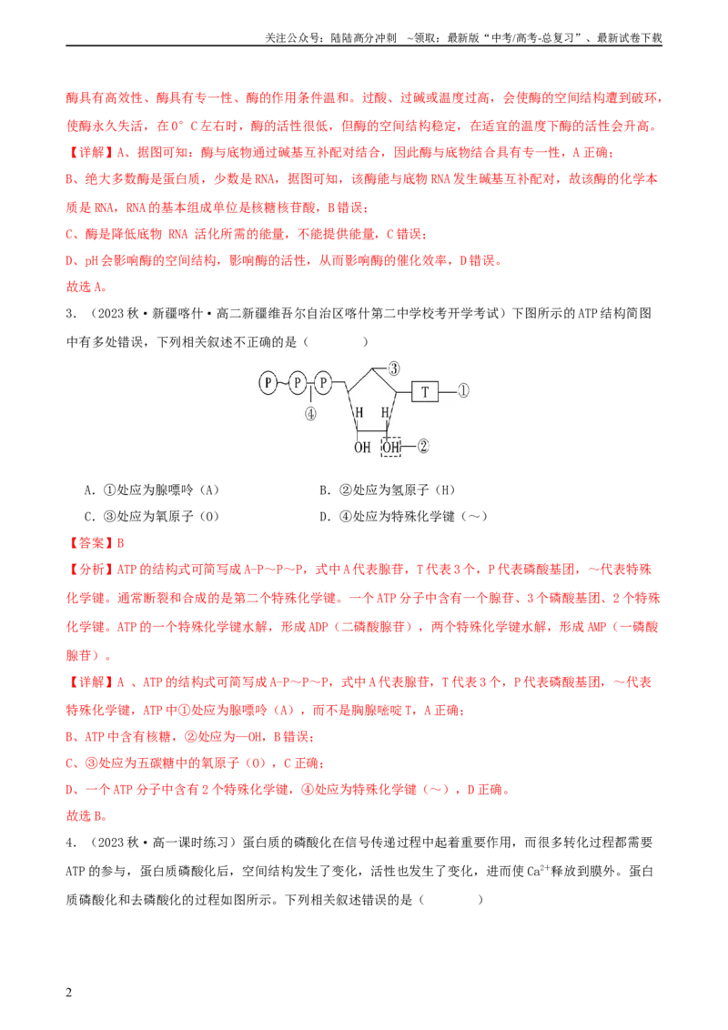 《专题综合练02细胞的能量供应和应用(解析版)_06-生物-高考总复习_一轮复习_2024年_2024年高考生物一轮复习考点帮（新高考）_必修1》第2页预览