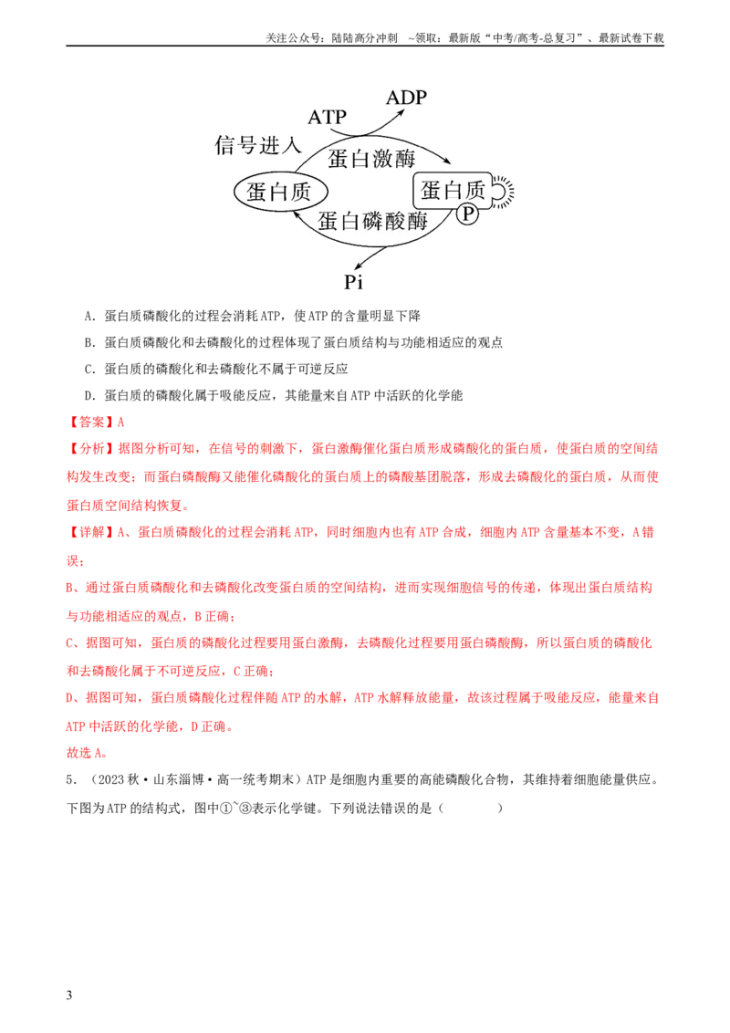 《专题综合练02细胞的能量供应和应用(解析版)_06-生物-高考总复习_一轮复习_2024年_2024年高考生物一轮复习考点帮（新高考）_必修1》第3页预览