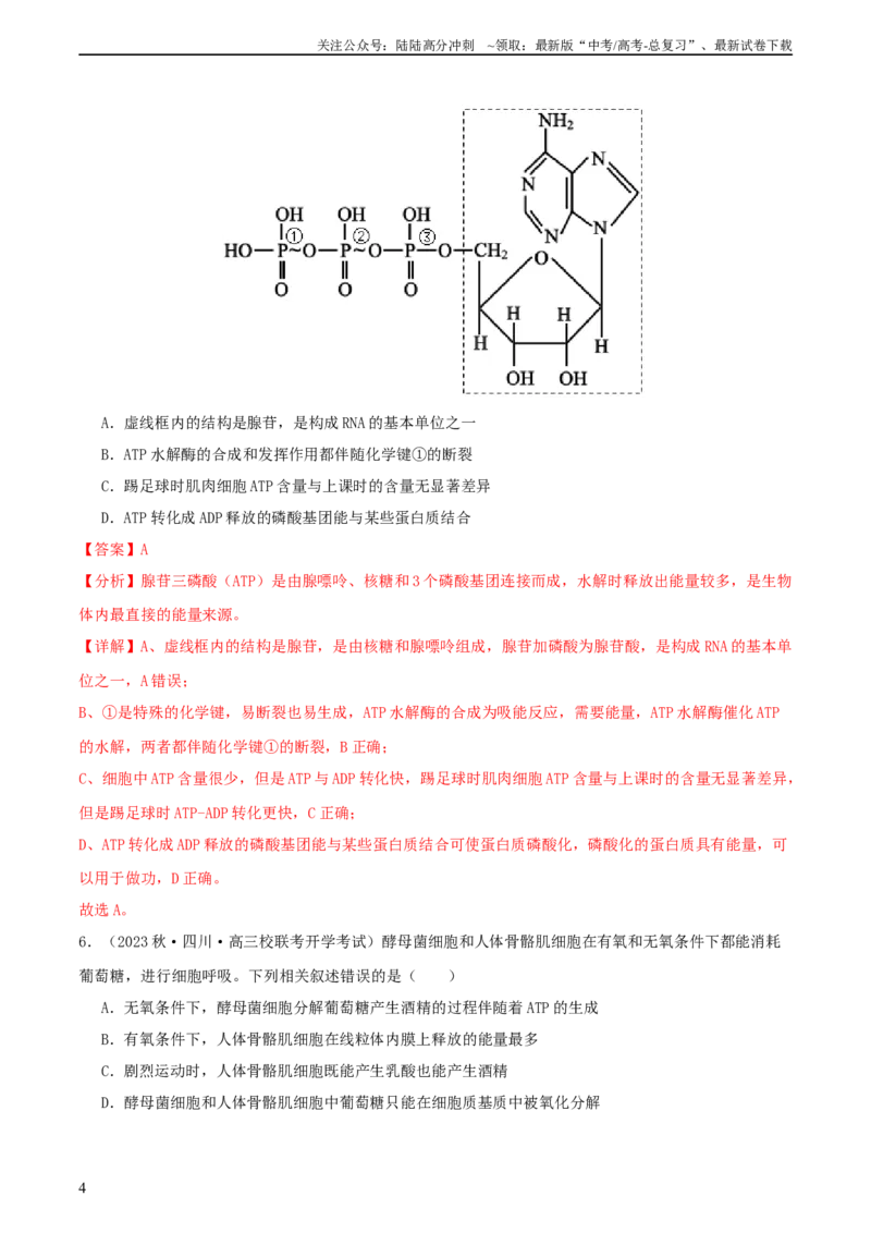《专题综合练02细胞的能量供应和应用(解析版)_06-生物-高考总复习_一轮复习_2024年_2024年高考生物一轮复习考点帮（新高考）_必修1》第4页预览