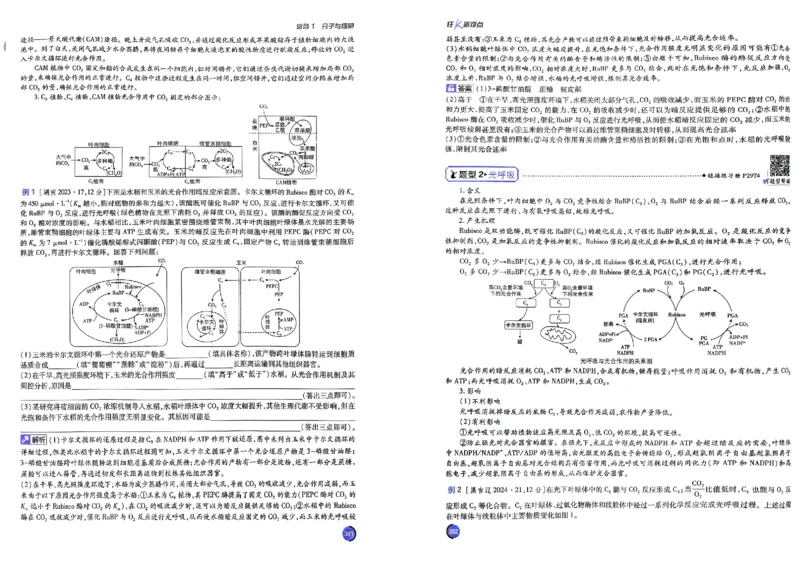 《2027高考必刷题生物狂K重点_2027《高考必刷题合订本》（生物）》第4页预览