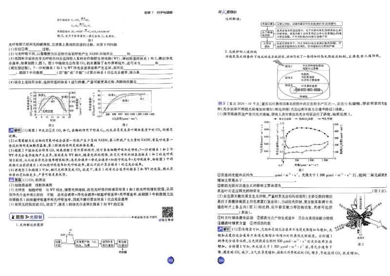 《2027高考必刷题生物狂K重点_2027《高考必刷题合订本》（生物）》第5页预览