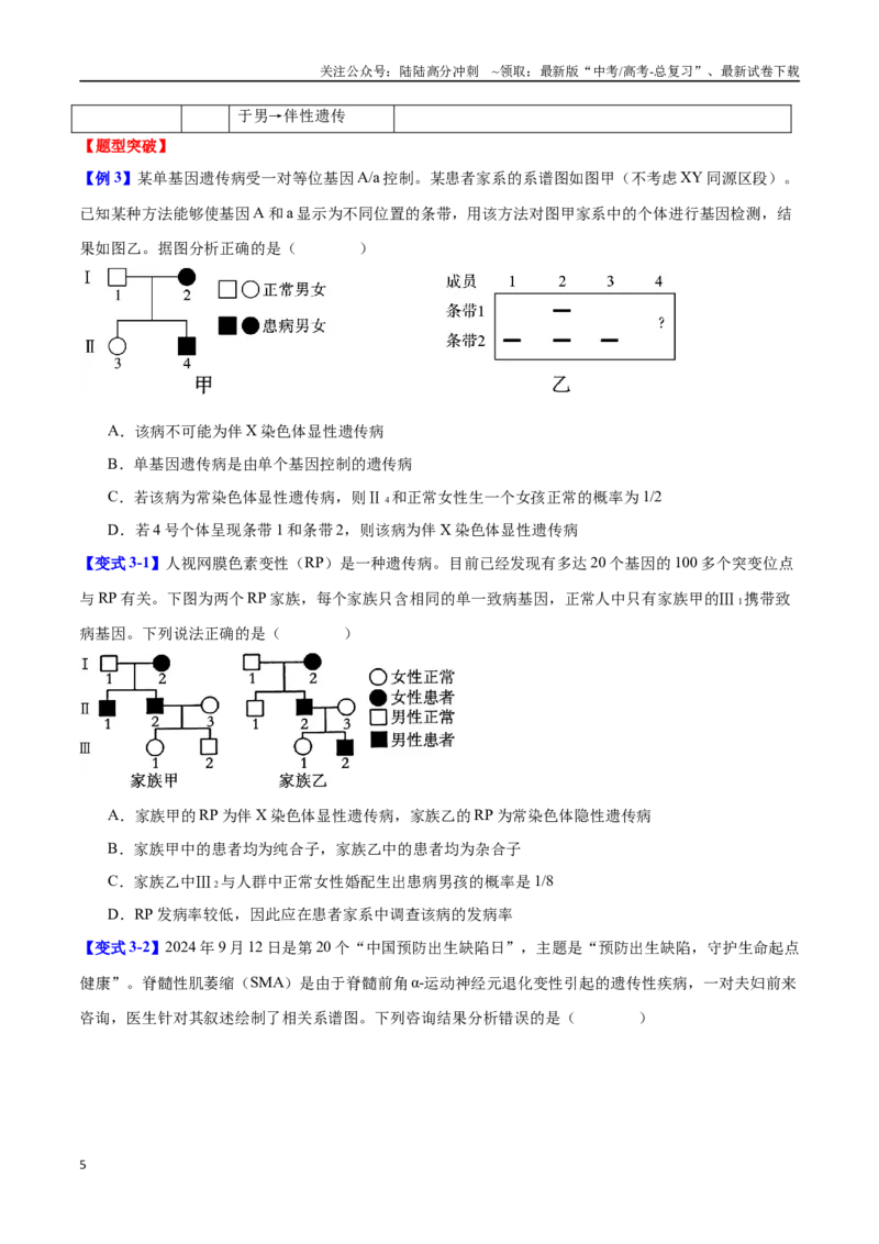 《专题四遗传的基本规律和人类遗传遗传病（学生版）-14页_06-生物-高考总复习_二轮复习_2025年_2025年高考生物二轮重点专题讲义（新高考通用）_资料》第5页预览