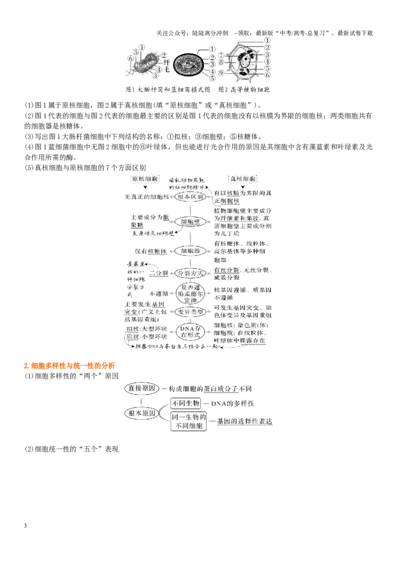 《专题一细胞及其分子组成（原卷版）_06-生物-高考总复习_二轮复习_2024年_2024年高考生物二轮复习专题攻略（新教材新高考）_资料》第3页预览