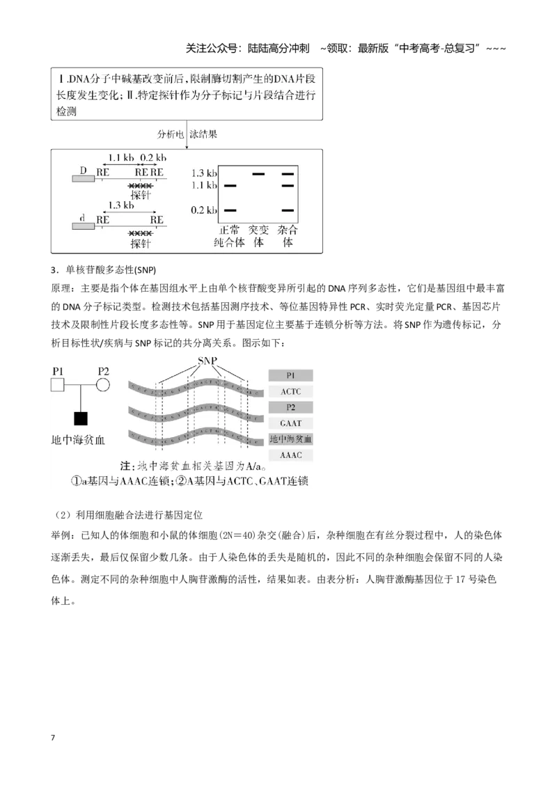 《专题七基因定位的遗传实验设计（2大考向）（学生版）_06-生物-高考总复习_专项复习_2026年-生物高考专项复习_32026年高考生物实验题专项突破训练》第7页预览