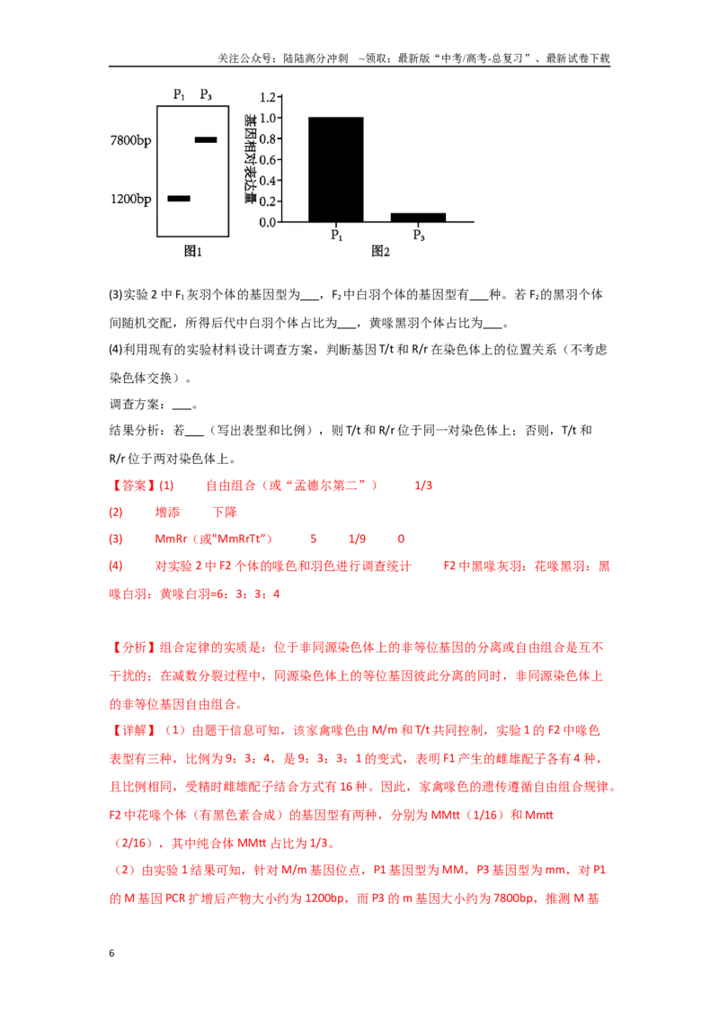 《专题六实验设计类能力培养及答题技巧（解析版）_06-生物-高考总复习_专项复习_2024年_2024高考生物实验题型归纳重难点练习提高解题技巧_资料》第6页预览