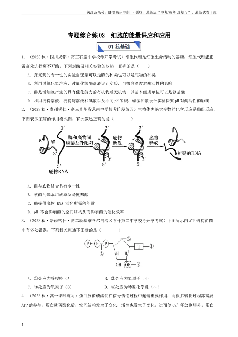 《专题综合练02细胞的能量供应和应用(原卷版)_06-生物-高考总复习_一轮复习_2024年_2024年高考生物一轮复习考点帮（新高考）_必修1》第1页预览