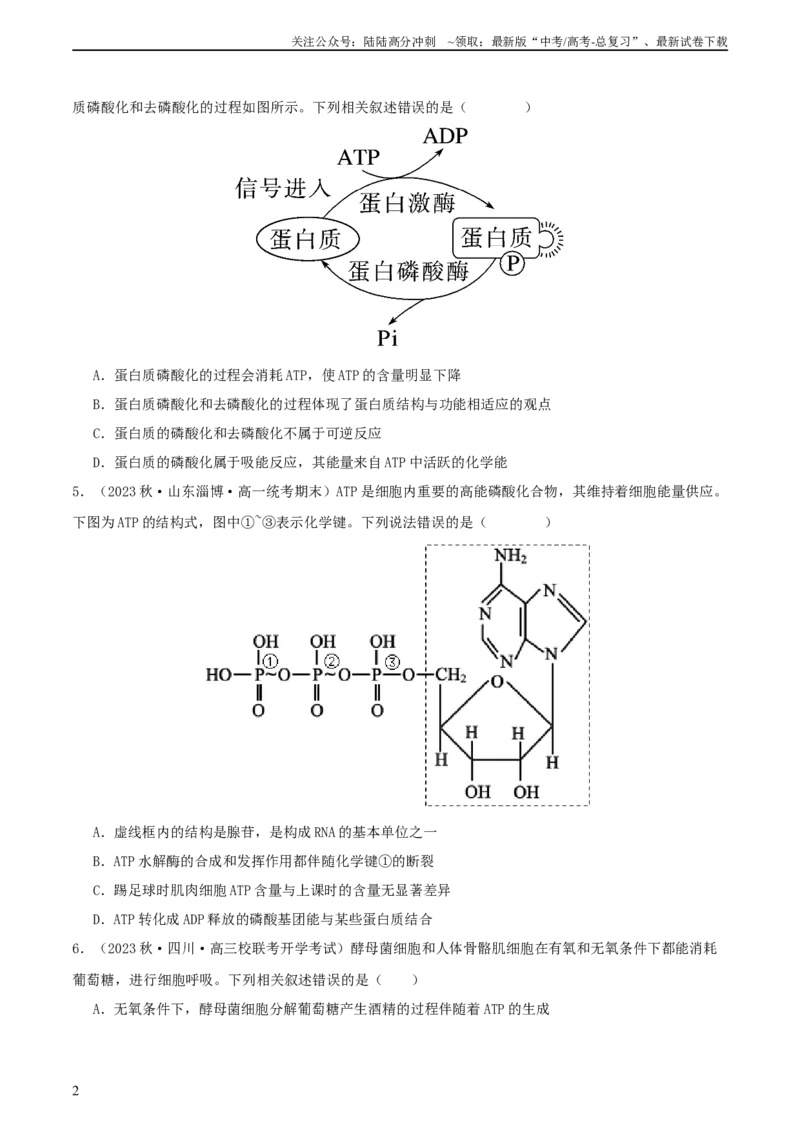 《专题综合练02细胞的能量供应和应用(原卷版)_06-生物-高考总复习_一轮复习_2024年_2024年高考生物一轮复习考点帮（新高考）_必修1》第2页预览