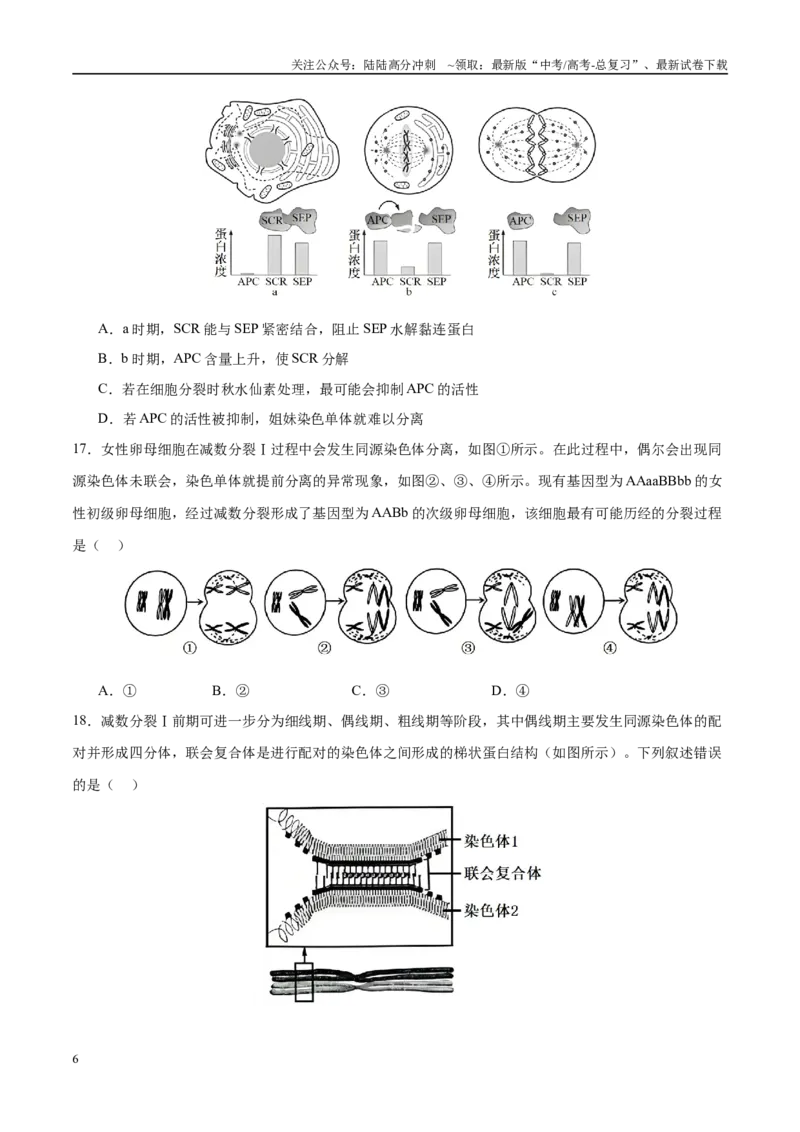 《专题三细胞的生命历程（学生版）_06-生物-高考总复习_二轮复习_2025年_2025年高考生物二轮复习课件+讲义+练习（新高考通用）》第6页预览