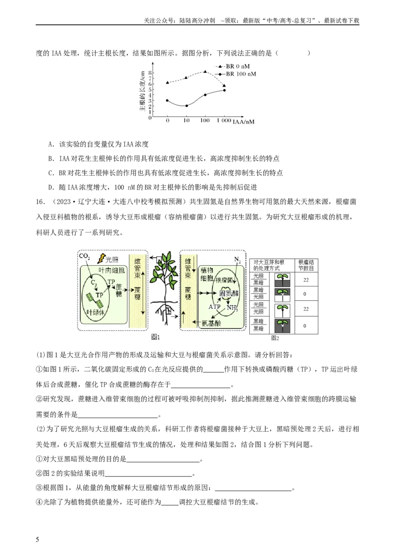 《专题综合练09植物生命活动调节(原卷版)_06-生物-高考总复习_一轮复习_2024年_2024年高考生物一轮复习考点帮（新高考）_选择性必修1》第5页预览
