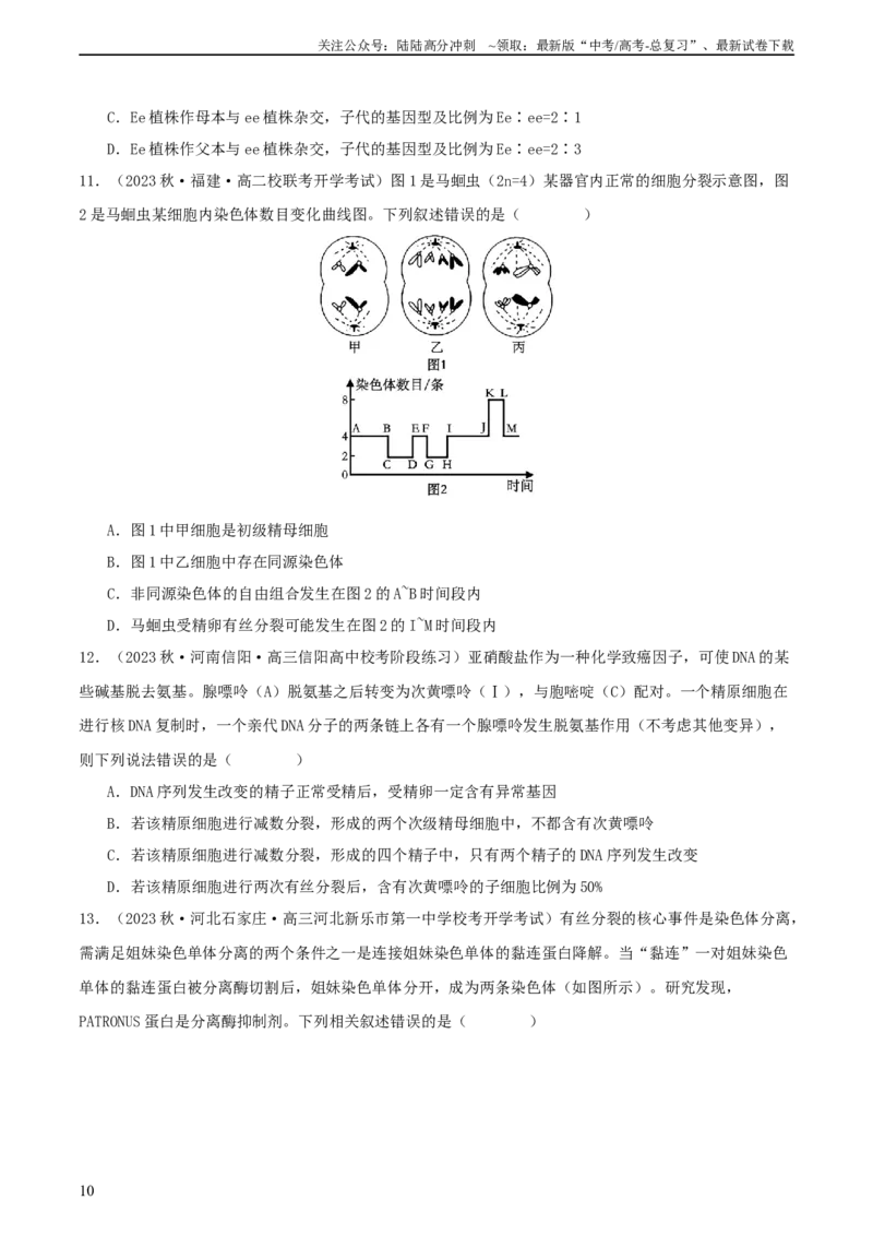 《专题综合练03细胞的生命历程(原卷版)_06-生物-高考总复习_一轮复习_2024年_2024年高考生物一轮复习考点帮（新高考）_必修1》第10页预览